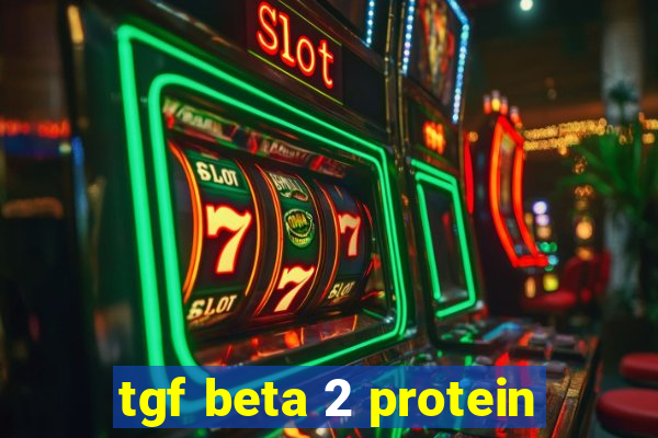 tgf beta 2 protein